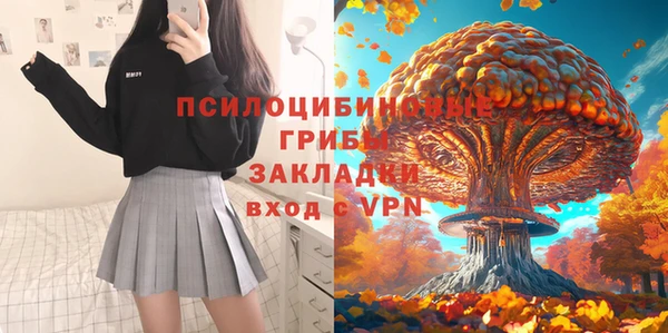 2c-b Лиски