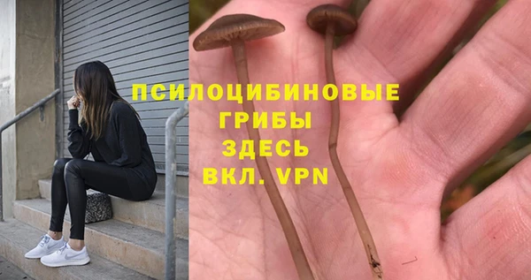 СК Абдулино